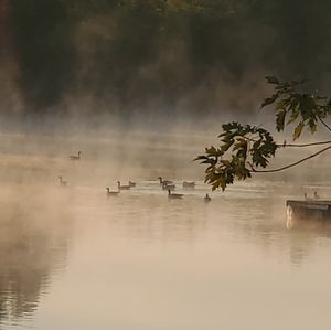 Meet your Posher, Trevor